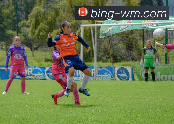 完美体育发展历程